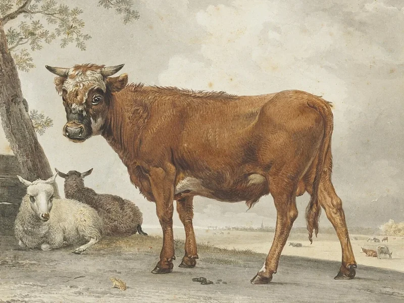 1740-Jan Gerard Waldorp - Da Paulus Potter - Un toro e una pecora in un paesaggio